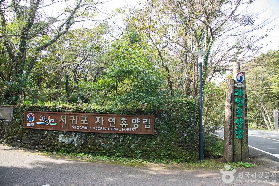 제주_서귀포_서귀포자연휴양림(1)