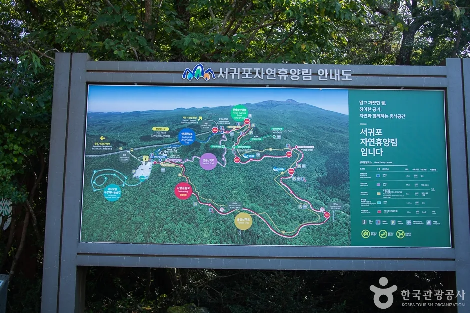 제주_서귀포_서귀포자연휴양림(5)