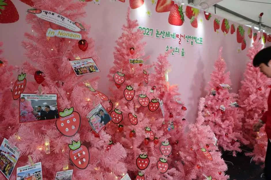 2026 논산딸기축제 (3).JPG