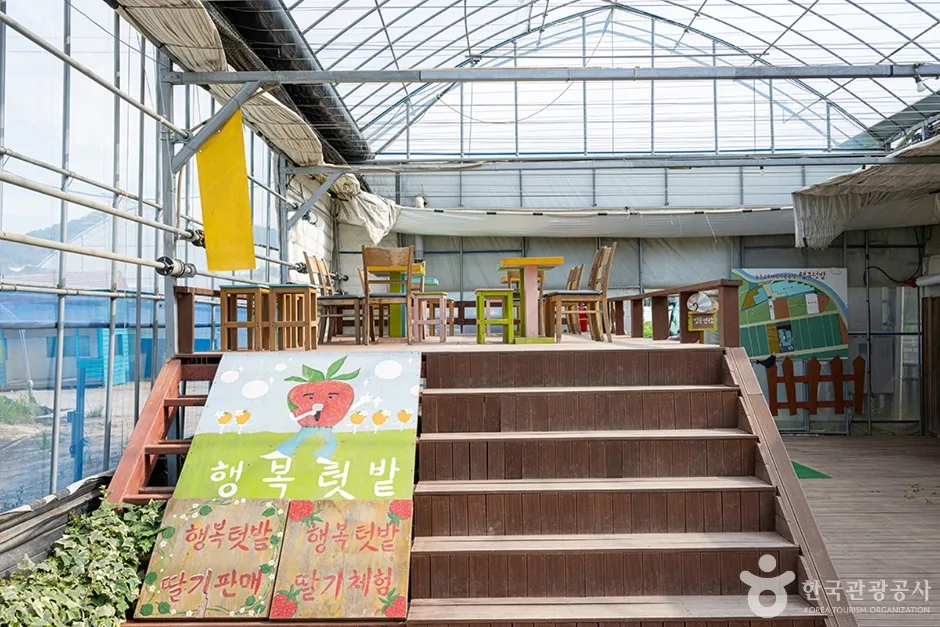 행복텃밭 (11)