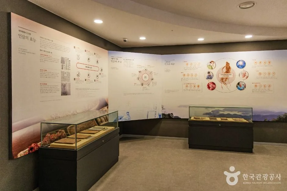 금산_금산인삼관 (4)