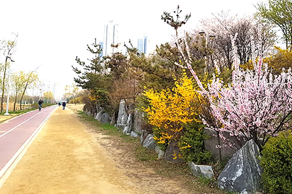연수구_달빛축제공원 (6).jpg
