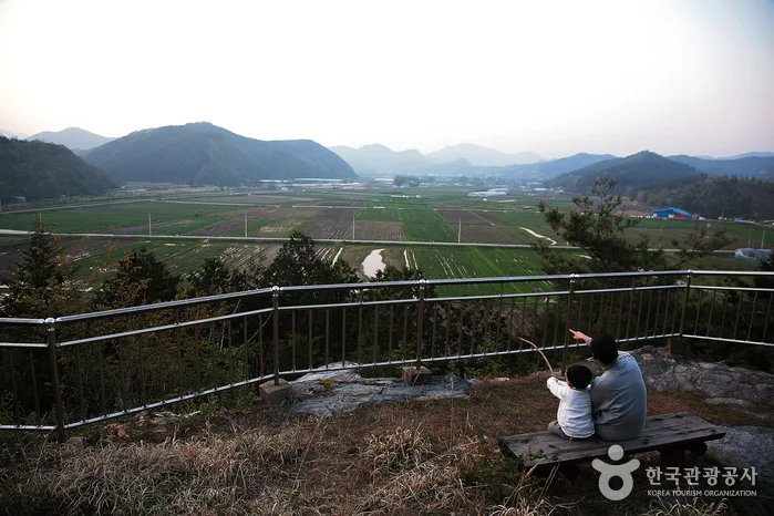 재미와 교육, 추억까지 그득한 화순 여행기