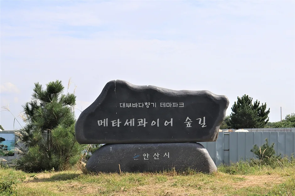 경기도_안산시_대부도메타세콰이어길_비석