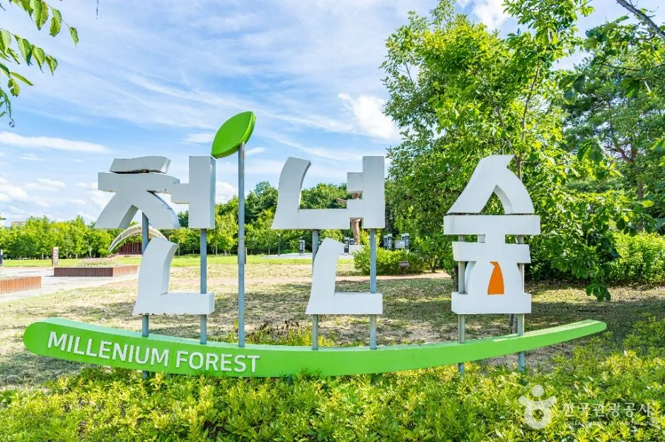 안동_천년숲 (1)