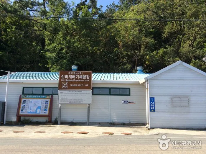 전남_장흥군_신리어촌체험마을 (1).jpg
