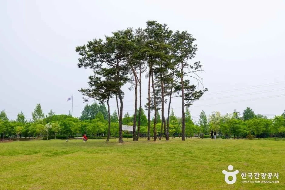 구리_장자호수공원 (6)