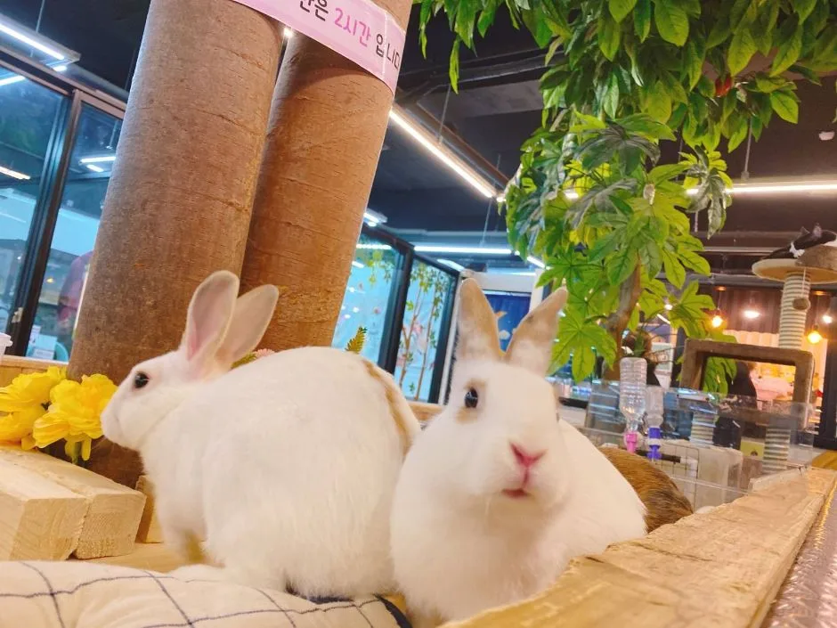 인천_마리앤쥬 (25)