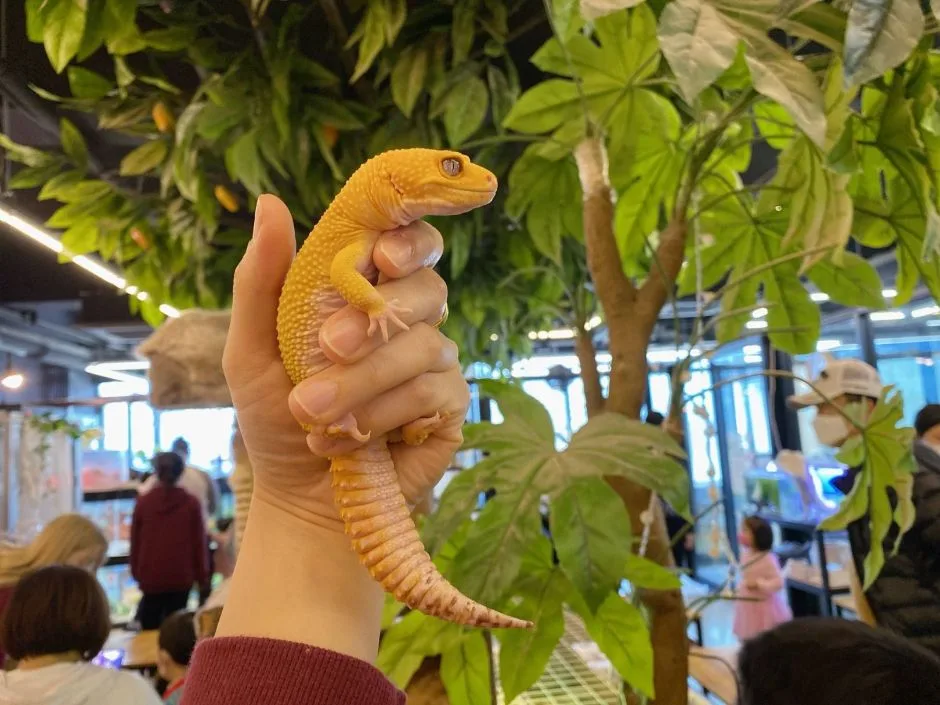 인천_마리앤쥬 (9)