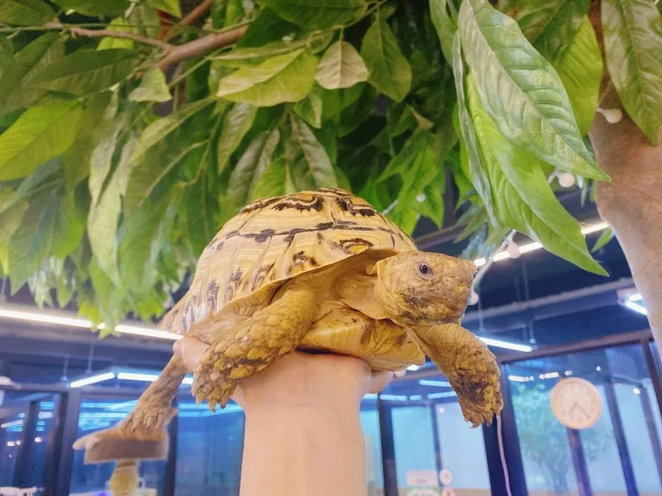 인천_마리앤쥬 (7)