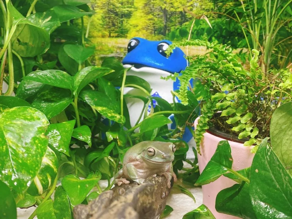 인천_마리앤쥬 (29)