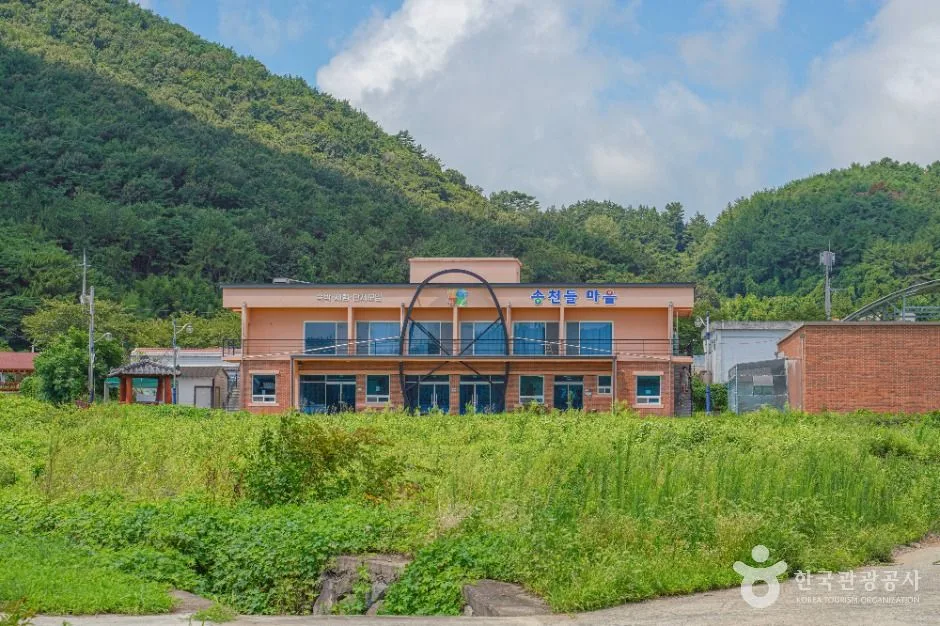 송천참다래마을
