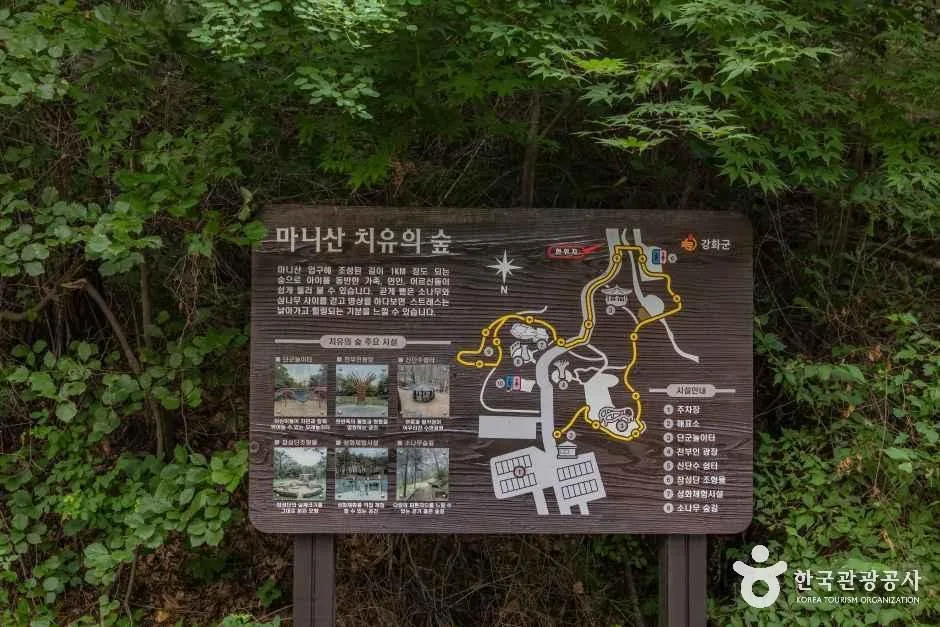 인천_마니산 치유의 숲 (8).jpg