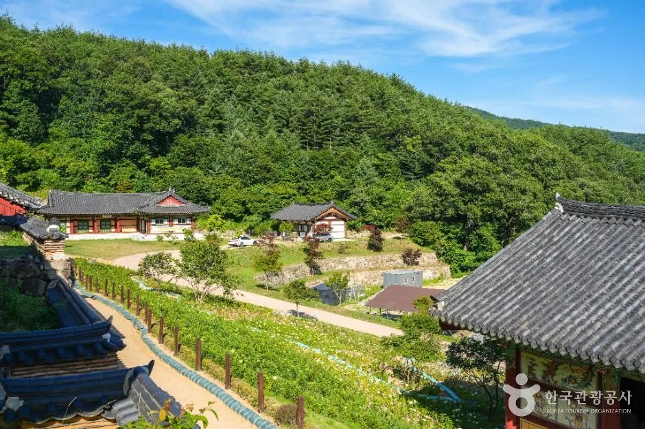 예천_용문사(예천) (3)