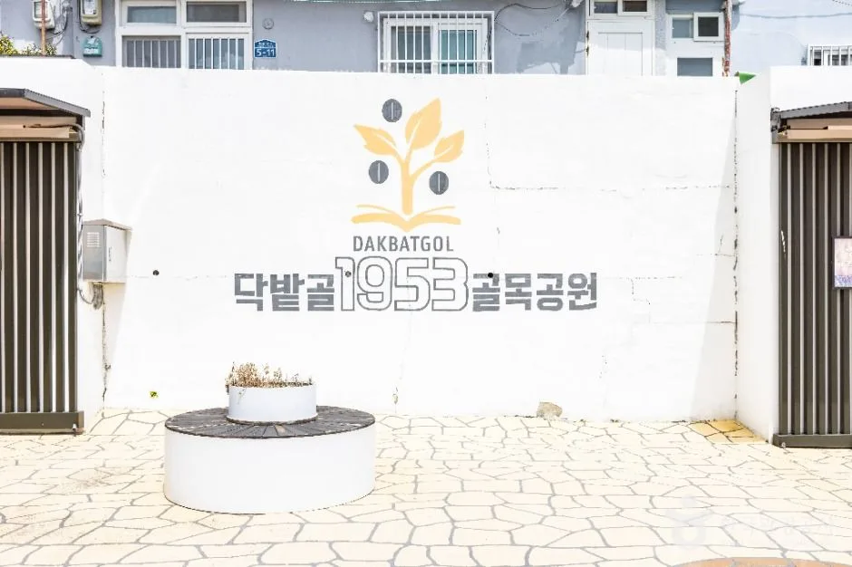 부산_닥밭골 벽화마을 (3)