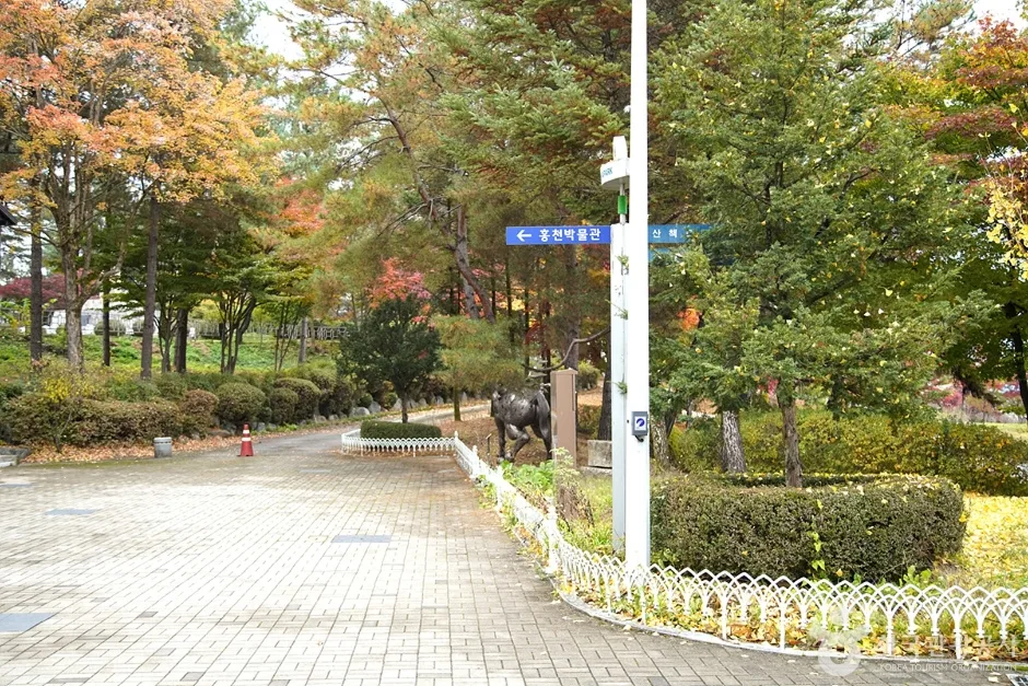홍천 무궁화공원 (15)