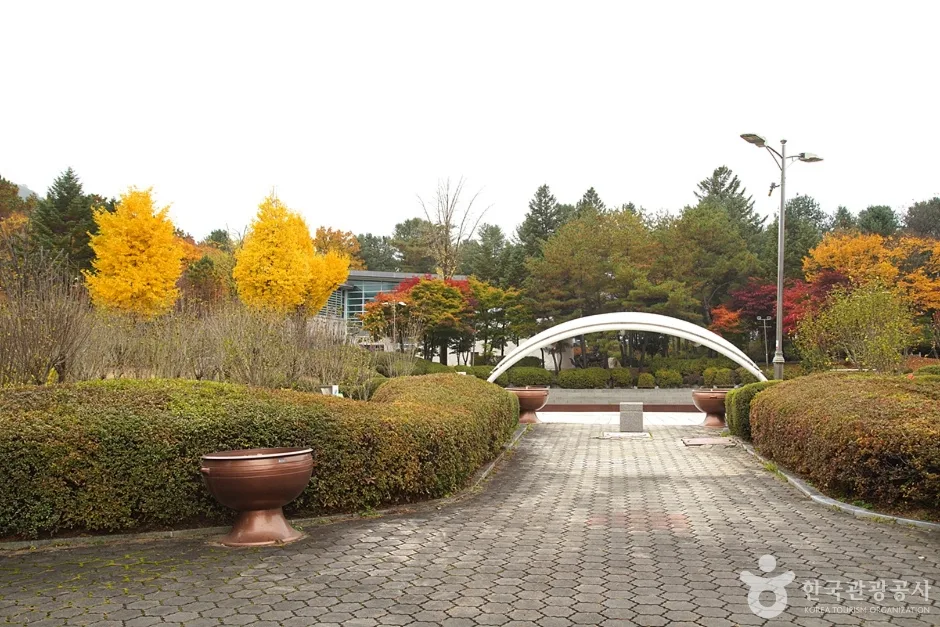 홍천 무궁화공원 (3)