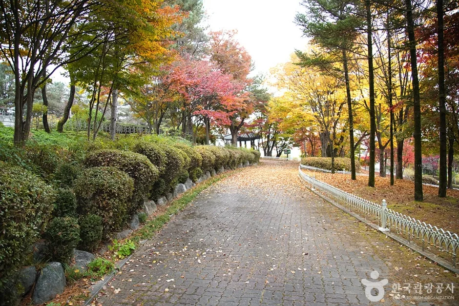 홍천 무궁화공원 (16)