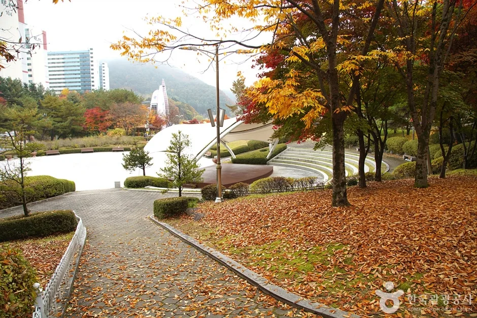 홍천 무궁화공원 (21)