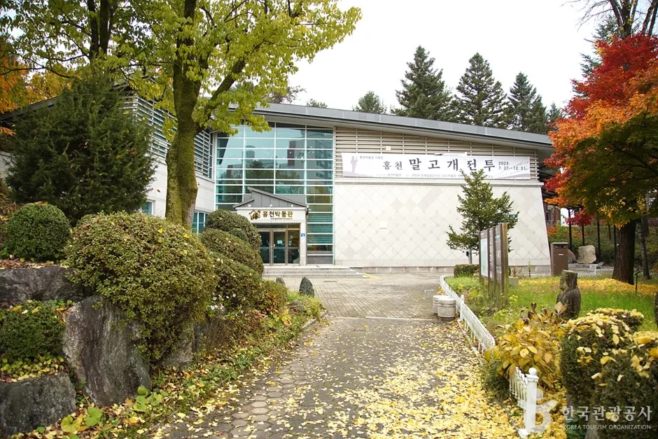 홍천 무궁화공원 (7)