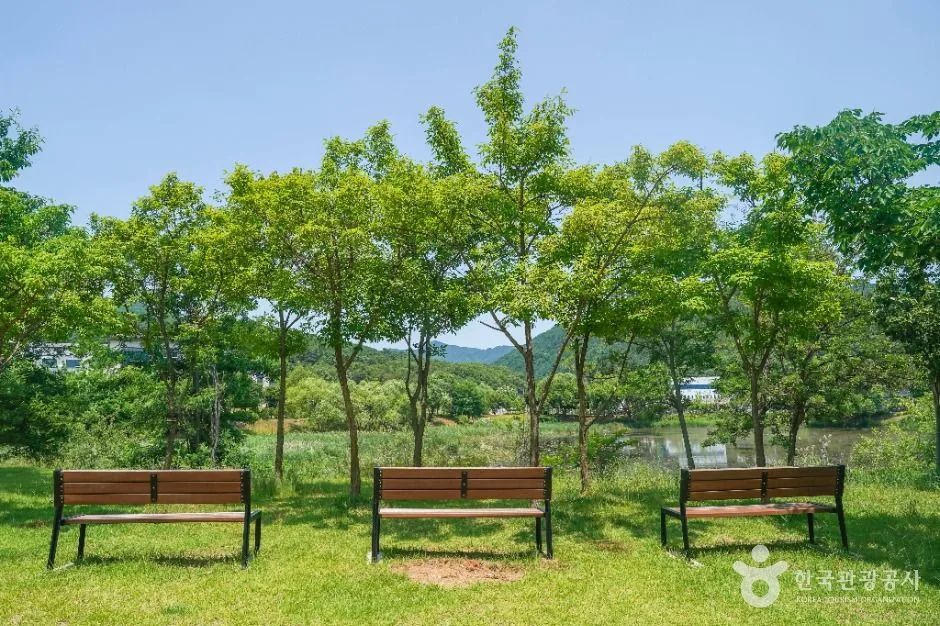 대구_송호지공원 (6)