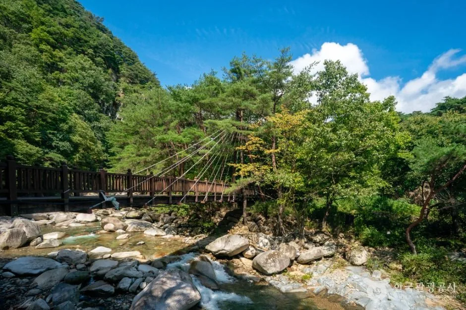 합천_홍류동계곡 (3)
