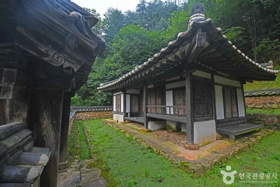 박약재 (3)
