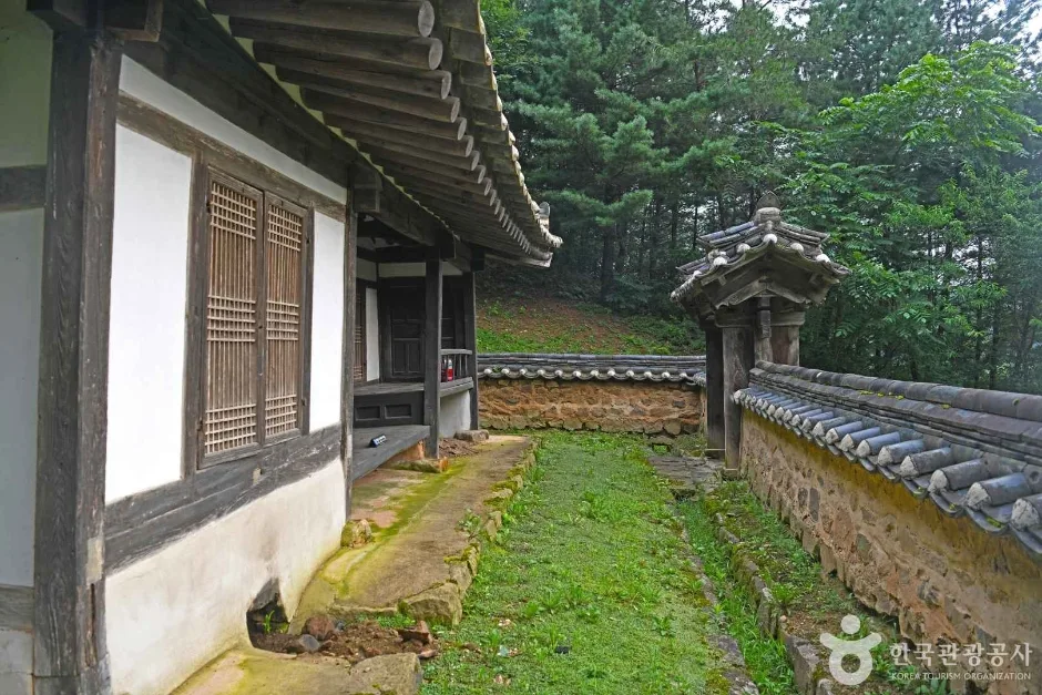 박약재 (4)