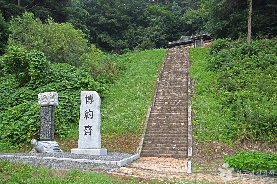 박약재 (6)