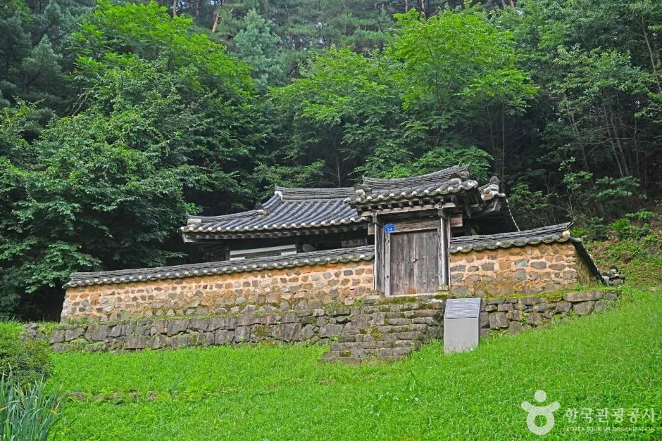 박약재 (2)