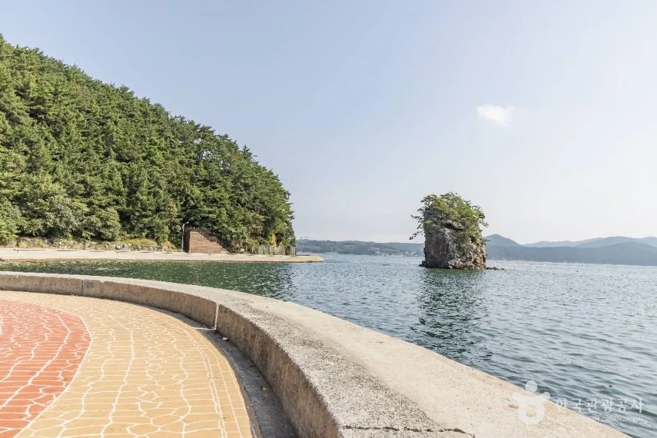 통영_삼칭이길 (5)