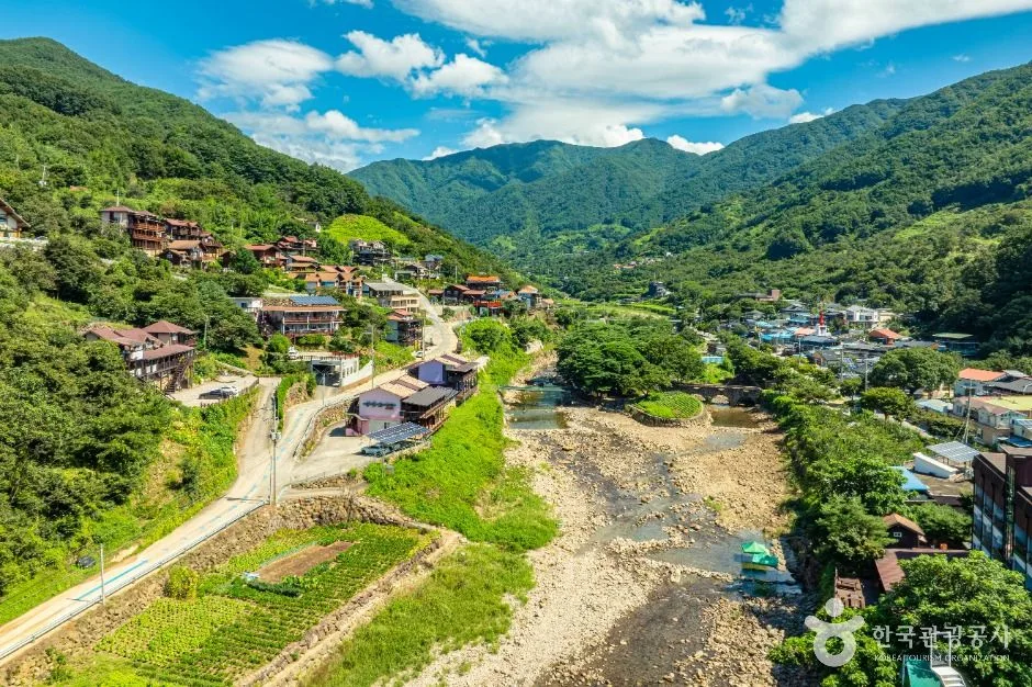 구례_섬진강은어마을 (2)