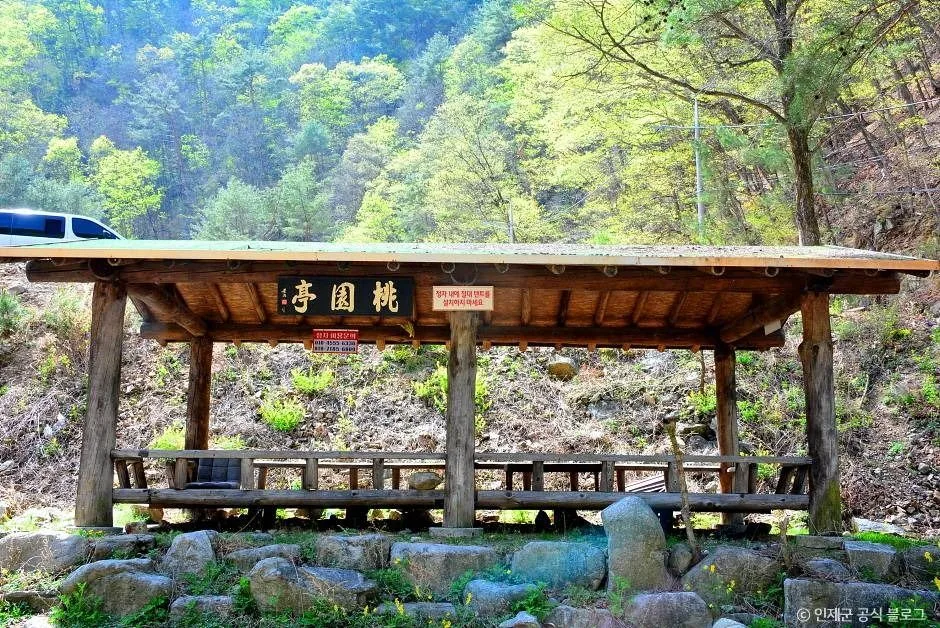 인제 동아실계곡 (2)