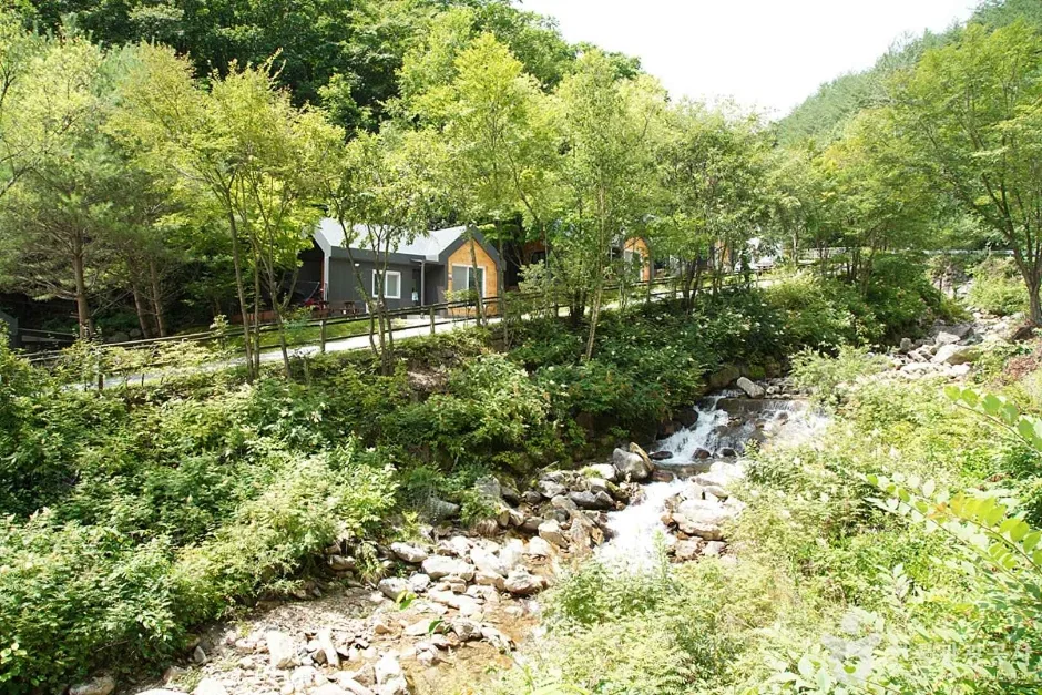 도사곡휴양림 (13)