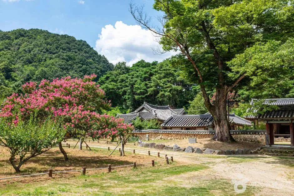 성주_회연서원 (7)