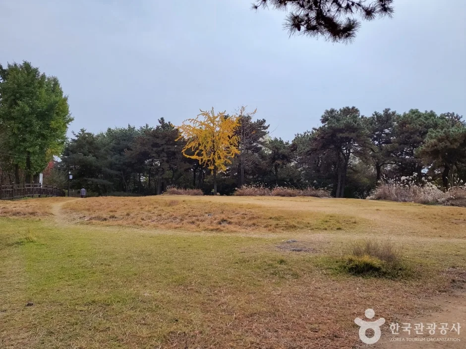 강서역사문화거리 (15)