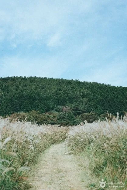 큰사슴이오름