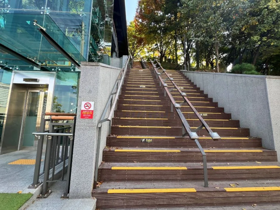 창천근린공원_공원 올라가는 입구 계단