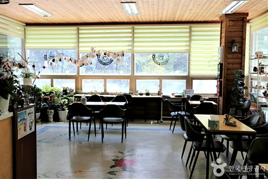 전북_익산_익산산림문화체험관_숲속쉼터내부(카페)