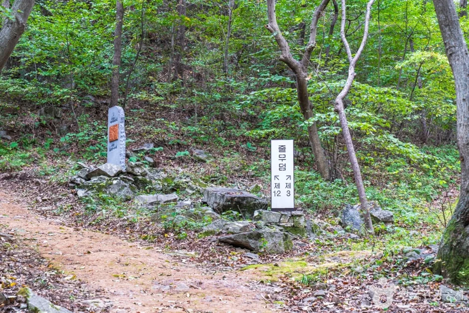 청양 다락골 줄무덤 성지 (11)