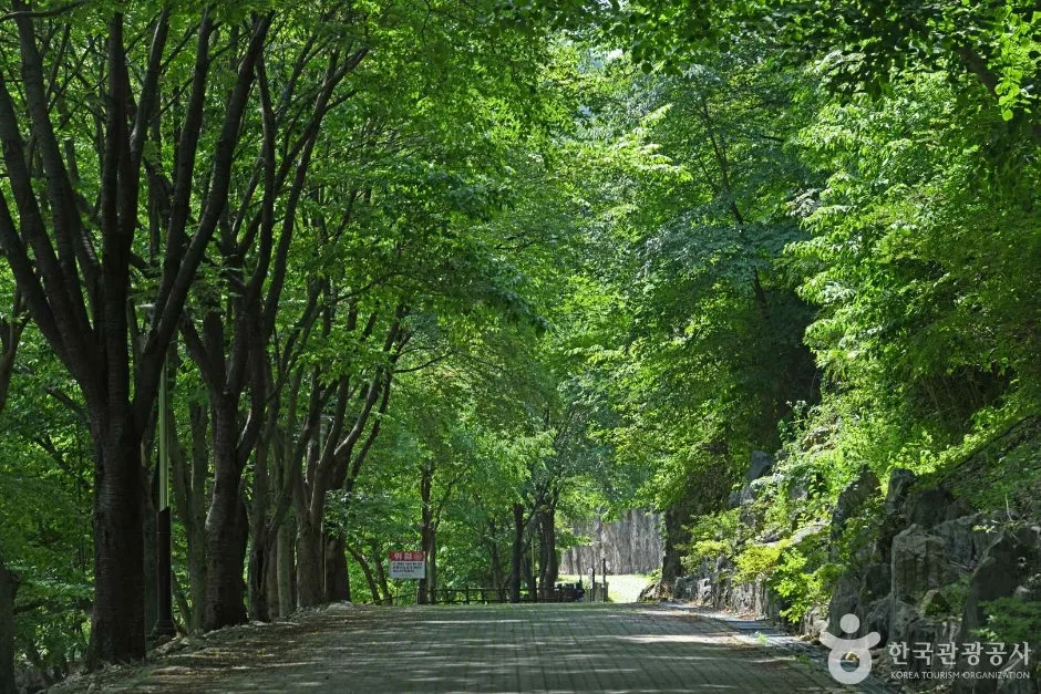 느티골산림욕장 (4)