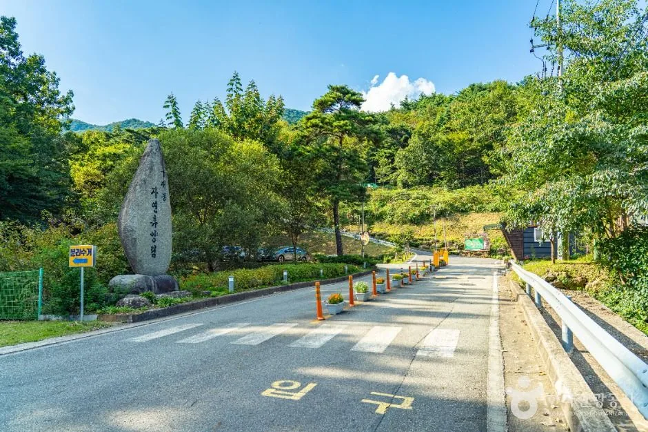 하동_구재봉자연휴양림 (8)