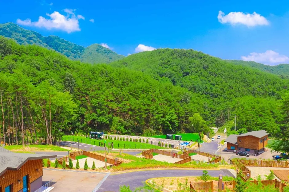 국립김천숲속야영장 (8)