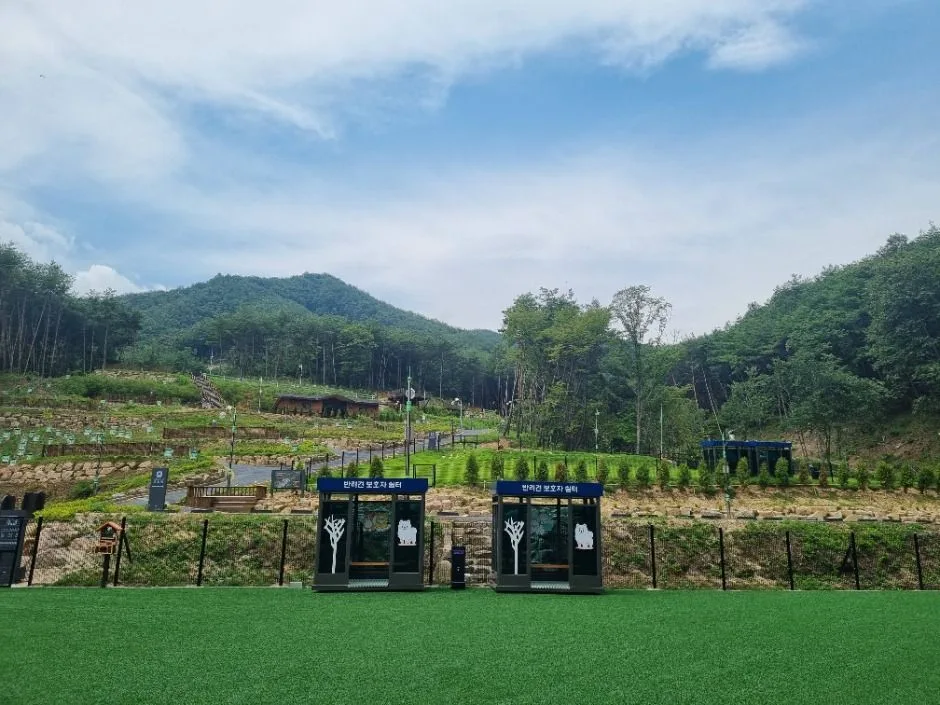 국립김천숲속야영장 (4)