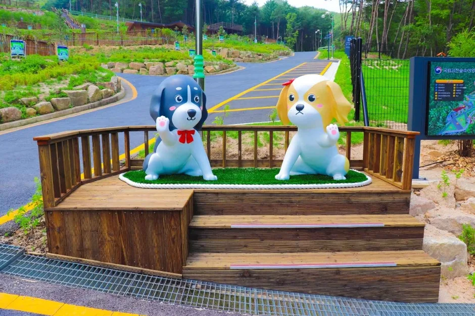 국립김천숲속야영장