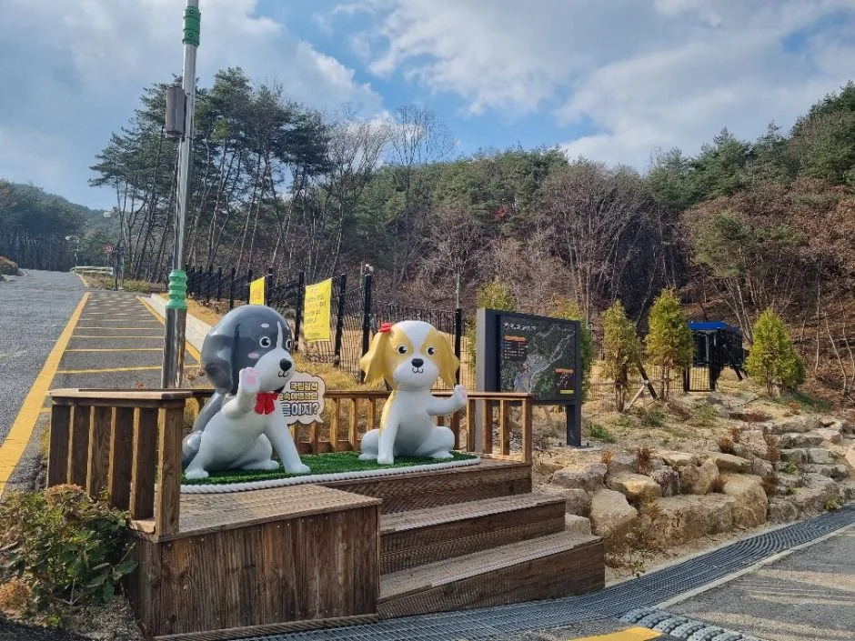 국립김천숲속야영장 (1)