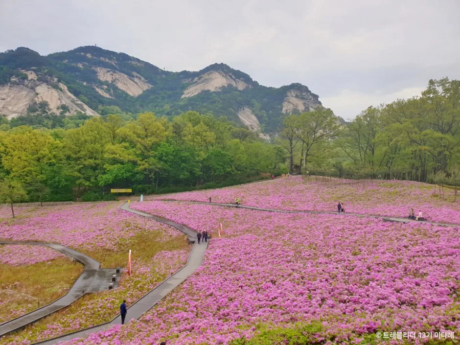 불암산나비정원