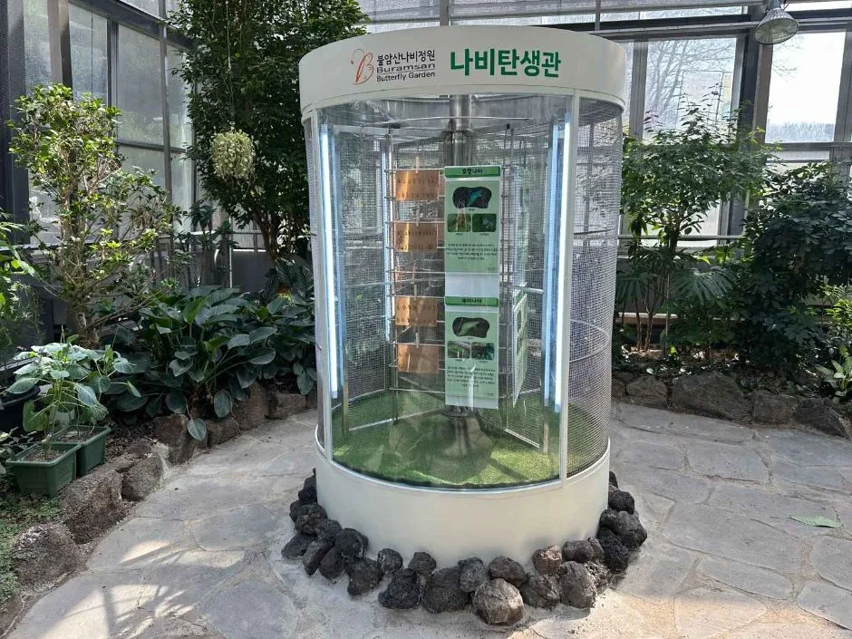 서울_불암산나비정원 (5)