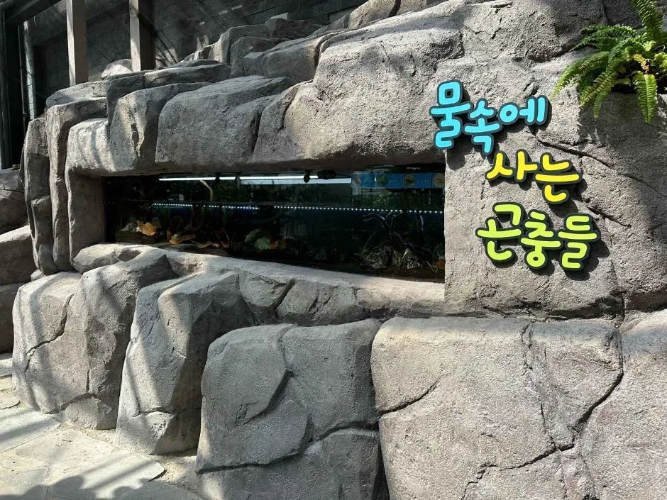 서울시_노원구_불암산나비정원_서울의 새로운 철쭉명소 불암산 나비정원 (2)