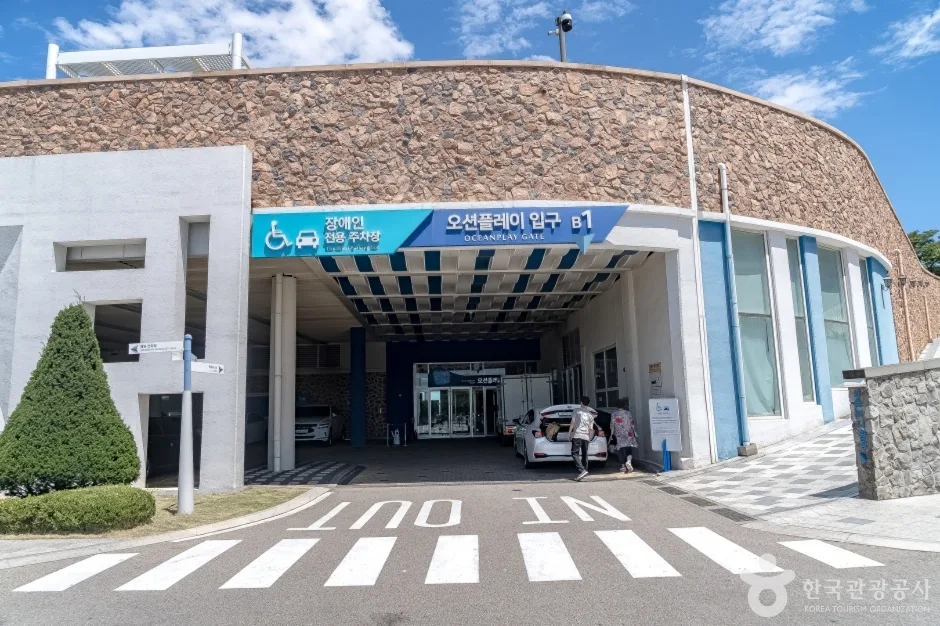 쏠비치삼척아쿠아월드 (3)